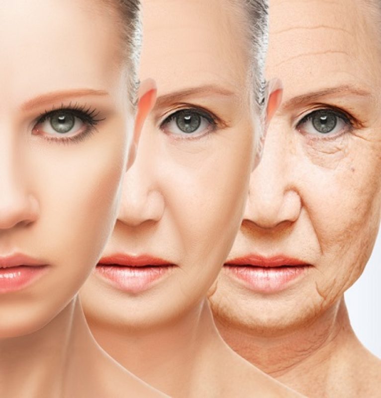 10 Fascinating Facts About Skin Aging
